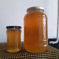 عسل گون گز اصفهان