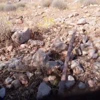 زمین-شهرک-اسلامیه