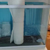 آکواریوم شیشه خم