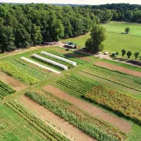 زمین 450 متری