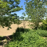 فروش زمین کشاورزی