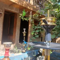 اجاره دربستی سوئیت و کلبه و آلاچیق شیشه ای|اجارهٔ کوتاه‌مدت آپارتمان و سوئیت|تالش, تالش|دیوار