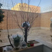 بازسازی منازل شما در کوتاه ترین زمان