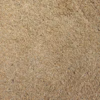 جو دیم گندم آبی