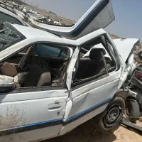 پژوپارس تصادفی