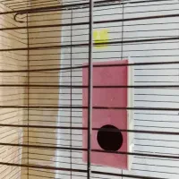 قفس|لوازم جانبی حیوانات|بندرعباس, |دیوار