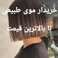 مرکز بزرگ مو طبیعی بور زال سیلک