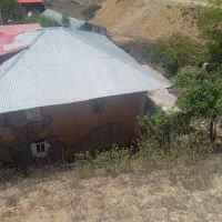 فروش زمین ۳۲۰ متری مسکونی در روستای نیاول|فروش زمین و ملک کلنگی|دیلمان, |دیوار