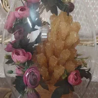 شاخه نبات عروس داماد مدرن و شیک - کاملا نو و سالم