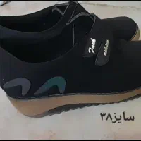 کیف و کفش|کیف، کفش، کمربند|ایلام, |دیوار