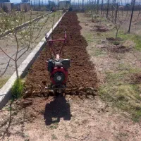 شخم زنی با تیلر ۱۲ اسب