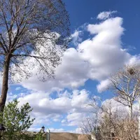 کارگر تولید آقا