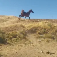 مادیون فروشی