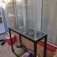 فروش اکواریم بزرگ|ماهی|تبریز, |دیوار