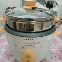 یک سرخ کن و یک بخارپز پلوپز تفال مناسب جهیزیه|اجاق گاز و لوازم برقی پختوپز|تهران, کوی بیمه|دیوار