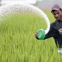 فروش کود اوره ۴۶درصد نیتروژن .فروش تناژی و صادراتی