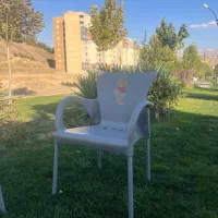 صندلی مطبی نو نو