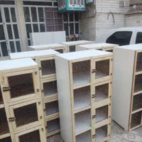 جفت کن جفتکن قفس چوبی کبوتر کفتر عروس هلندی|لوازم جانبی حیوانات|مشکین‌دشت, |دیوار