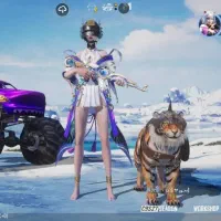 اکانت پابجی فروشی مفت