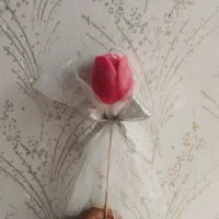 شاخه گل لاله مناسب روز معلم با قیمت مناسب