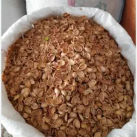 خریدار پوست پسته هستم