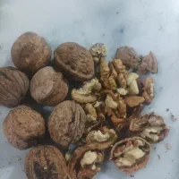 پرمغز|خوردنی و آشامیدنی|قوچان, |دیوار