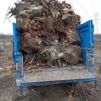 خریداره هرنوع درخت و ریشه یا کوتیح بصورت نقدنقد...