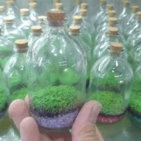 سرگرمی و فراغت