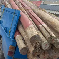 چوب|عمده‌فروشی|مشهد, شهرک صنعتی توس|دیوار