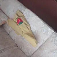 دو تا کاپشن تمیز وتازه بچه گانه دخترانه ۳تا۴ ساله|کفش و لباس بچه|اردبیل, |دیوار