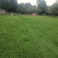 زمین-جنگلی-رویایی-2500-متر-موقعیت-توریستی-استثنایی