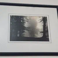 تابلوی عکس تزیینی