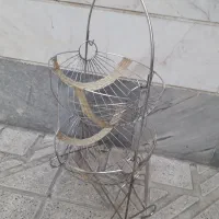 جای سیب زمینی و پیاز