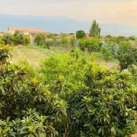 این ملک به زیربنا ۳۰۰ متر بع همراه ۱۵۰۰ متر باغ