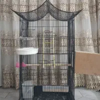 قفس عروس هلندی بزرگ همراه لانه وحوض