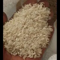 برنج ضیغمی|خوردنی و آشامیدنی|رومشکان, |دیوار