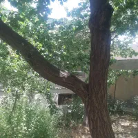 فروش منزل ویلایی