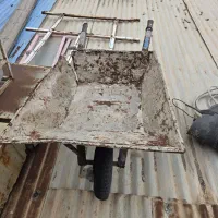 فرقون