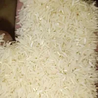برنج فجرسوزنی پاییزه