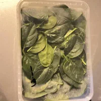 کاهو فرانسوی وسبزیجات|خوردنی و آشامیدنی|شیراز, درکی|دیوار