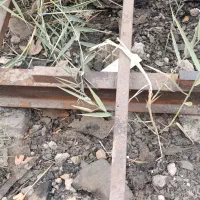 اسکلت کانکس سالم|مصالح و تجهیزات ساختمان|شاهدشهر, |دیوار