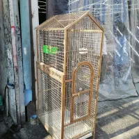 قفس بزرگ آرا، کاکادو، کاسکو