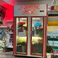 یخچال دو درب ایستاده ویترینی / فروشگاهی
