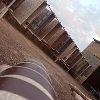 قالی شویی ماهر|خدمات نظافت|سوسنگرد, |دیوار