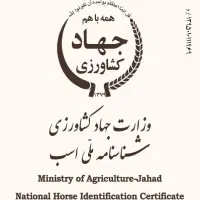 اسب مادیان کره سهراب جعفری قیمت استثنایی