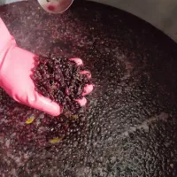 زرشک وآب زرشک کوهی تازه غلیظ وباکیفیت|خوردنی و آشامیدنی|سمنان, |دیوار