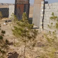 نیازمند جهادکشاورزی یا بنیادمسکن برای تغییرکاربری