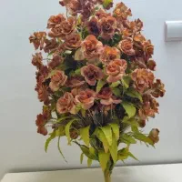 گل های زیبا