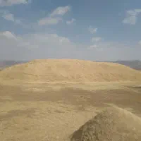 کاه یک جا ریز کیلو ۸