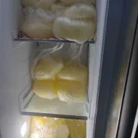سفیده تخم مرغ